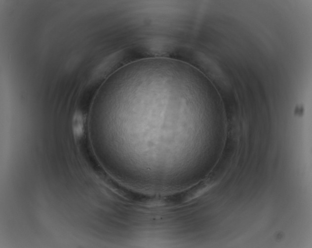 X0000093520075200710121553