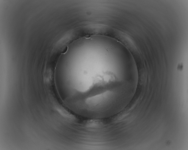 X0000093520077200710121553