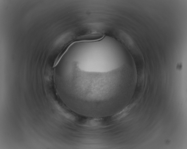 X0000093520078200710121553