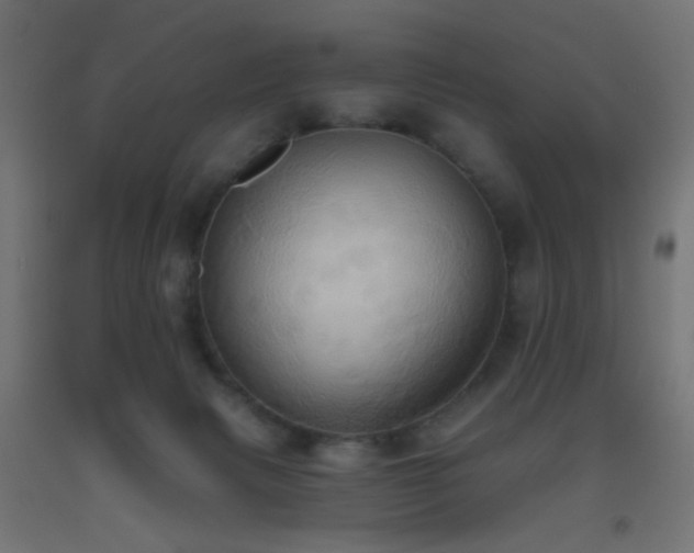 X0000093520079200710121553