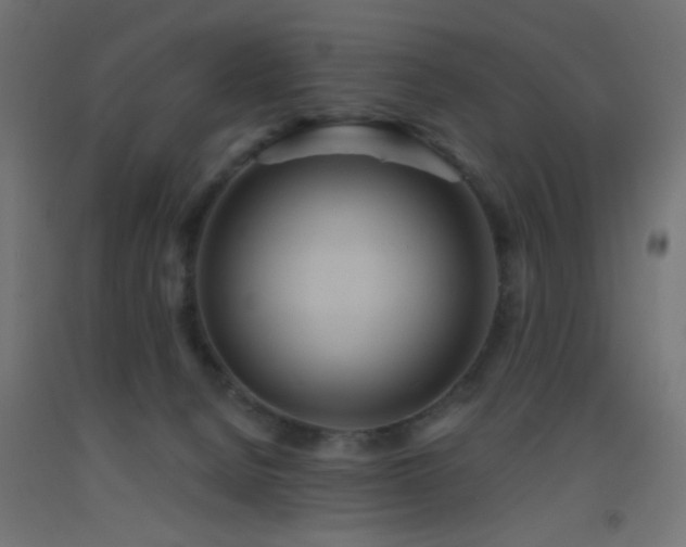 X0000093520080200710121553
