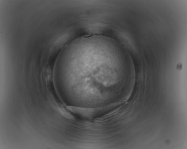 X0000093520081200710121553