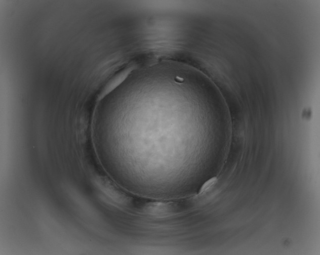 X0000093520082200710121553