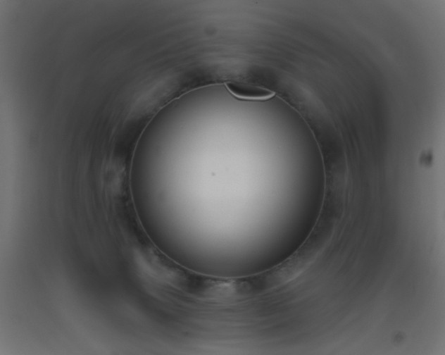 X0000093520083200710121553