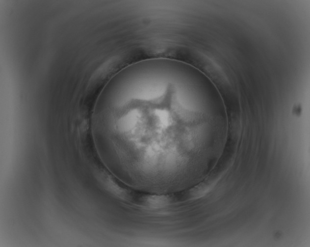 X0000093520085200710121553