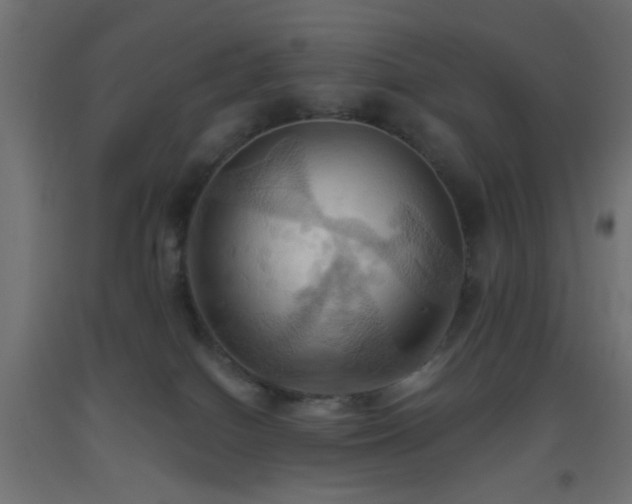 X0000093520086200710121553