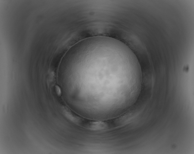 X0000093520087200710121553