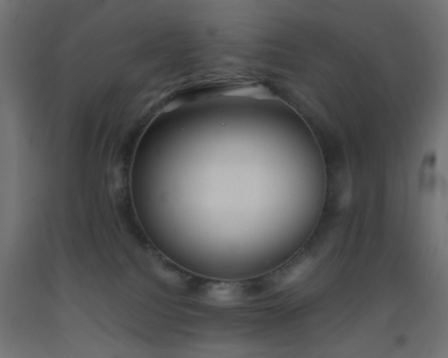 X0000093520088200710121553