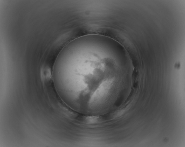 X0000093520089200710121553