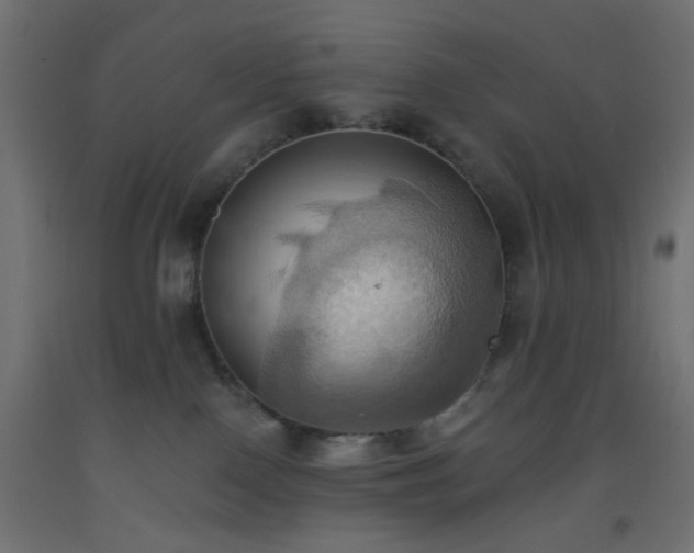 X0000093520090200710121553
