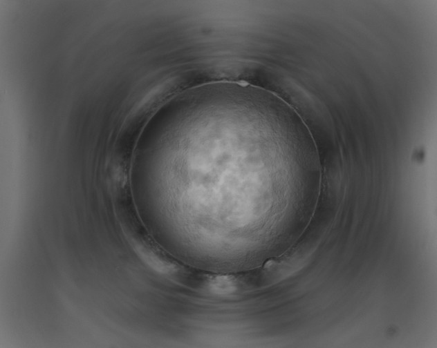 X0000093520091200710121553