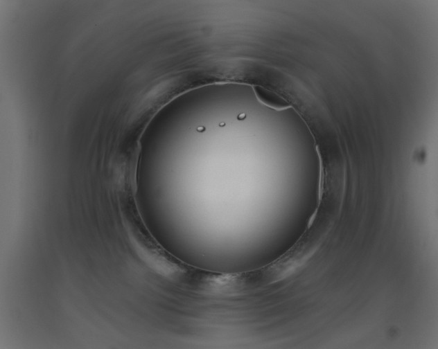 X0000093520092200710121553