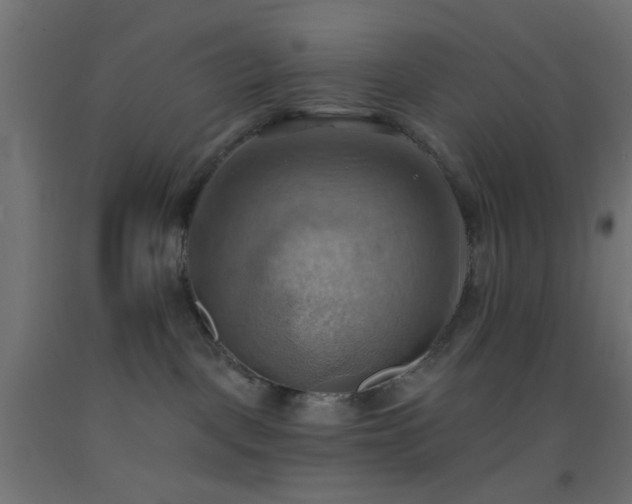 X0000093520093200710121553