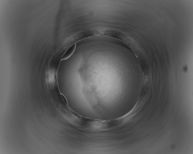 X0000093520094200710121553
