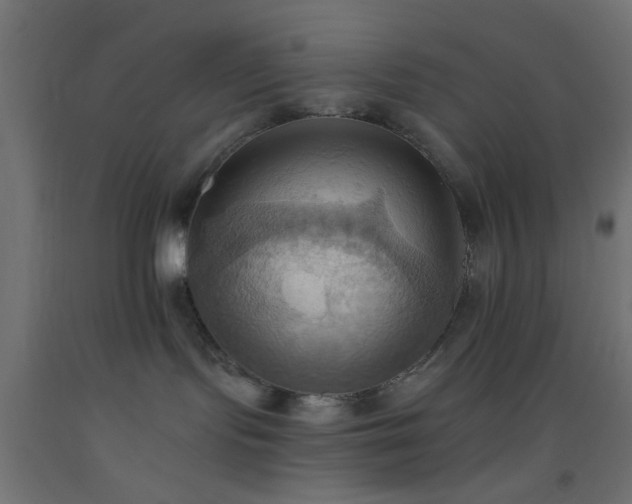 X0000093520095200710121553