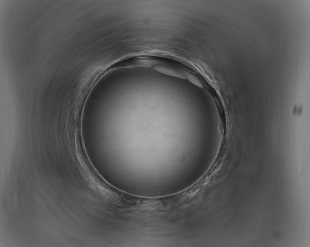 X0000093520097200710121552