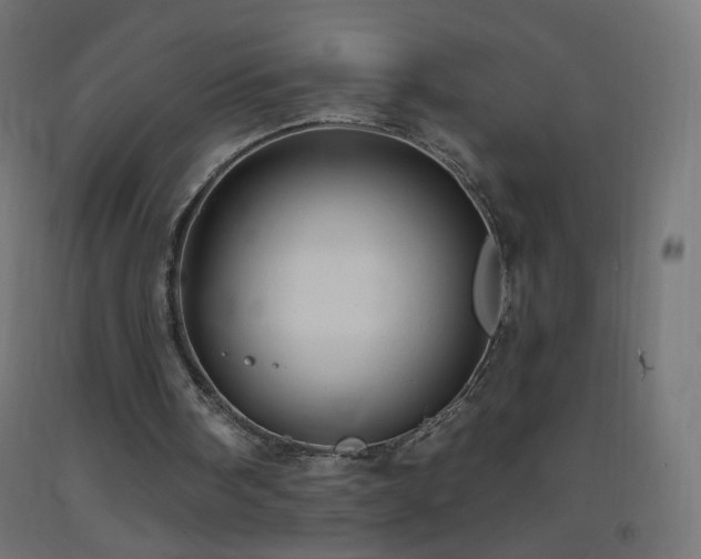 X0000093520098200710121552