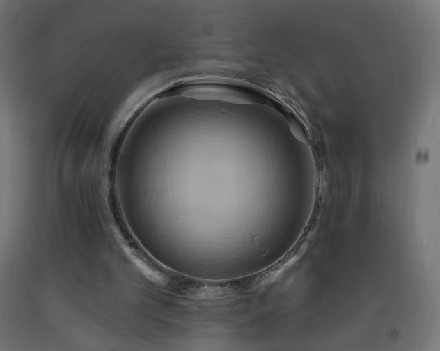 X0000093520101200710121552