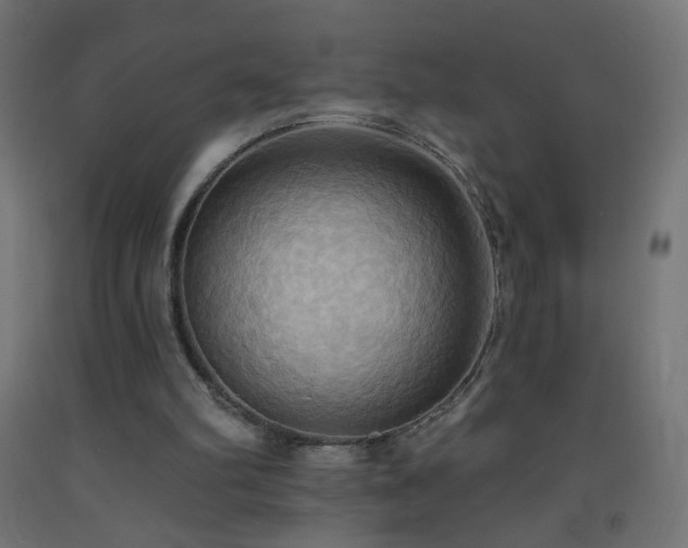 X0000093520102200710121552