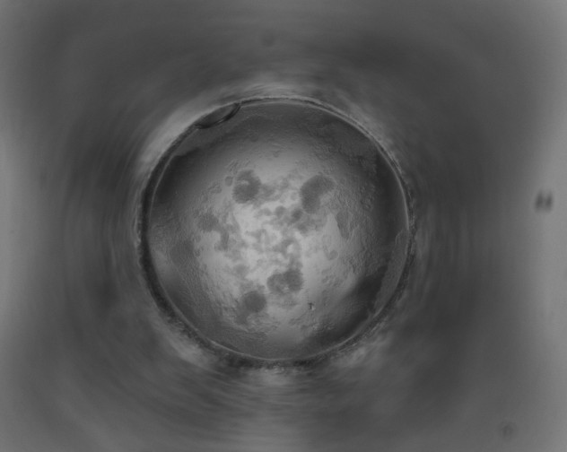 X0000093520103200710121552
