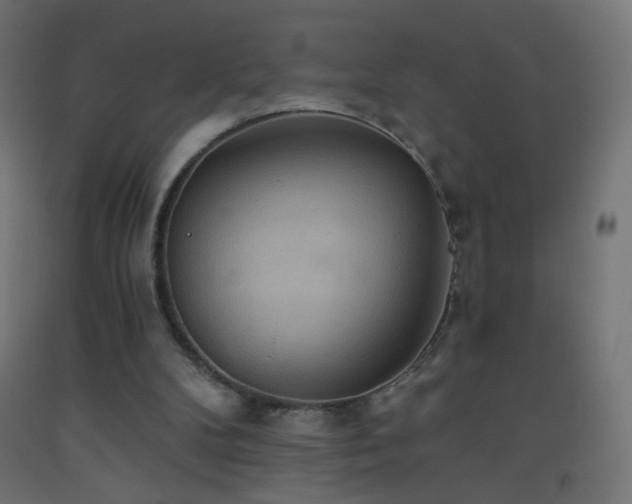 X0000093520104200710121552