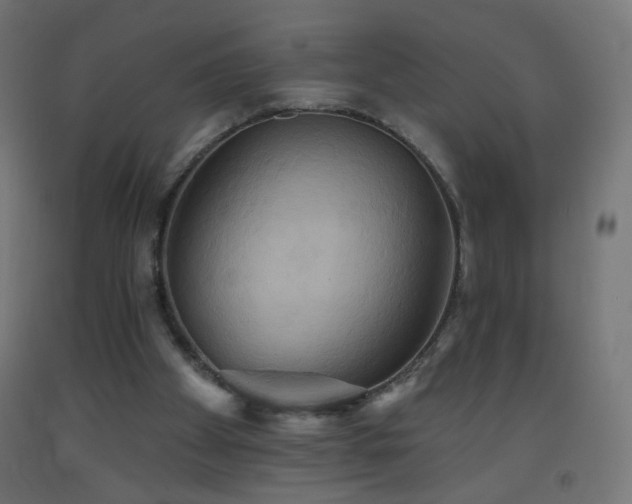 X0000093520105200710121552