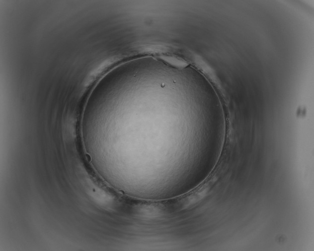 X0000093520106200710121552