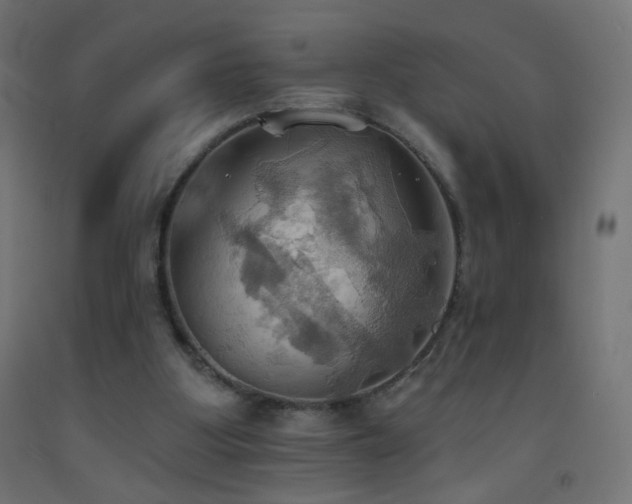 X0000093520107200710121552