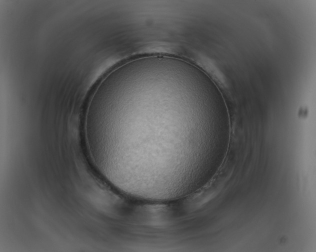 X0000093520108200710121552