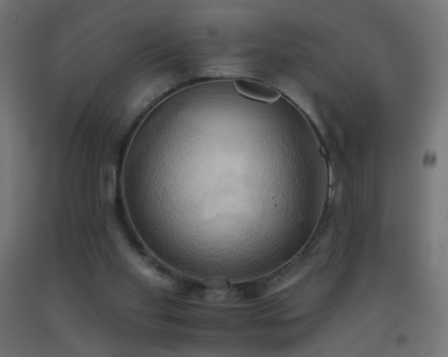 X0000093520109200710121552