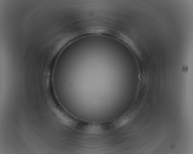 X0000093520110200710121552