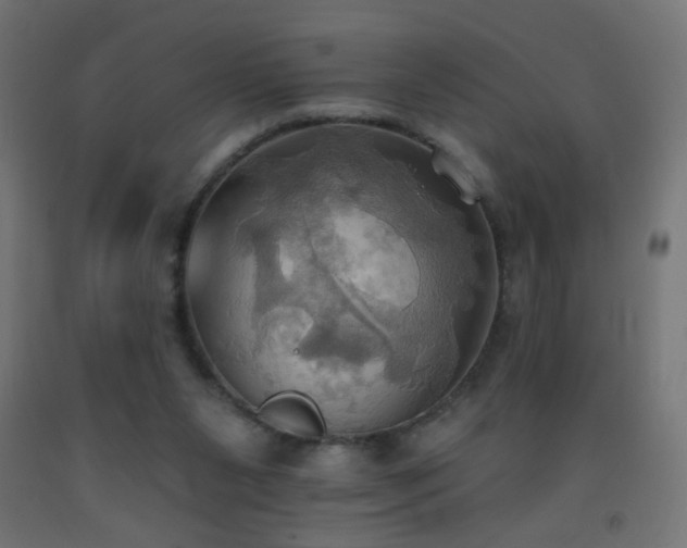 X0000093520111200710121552