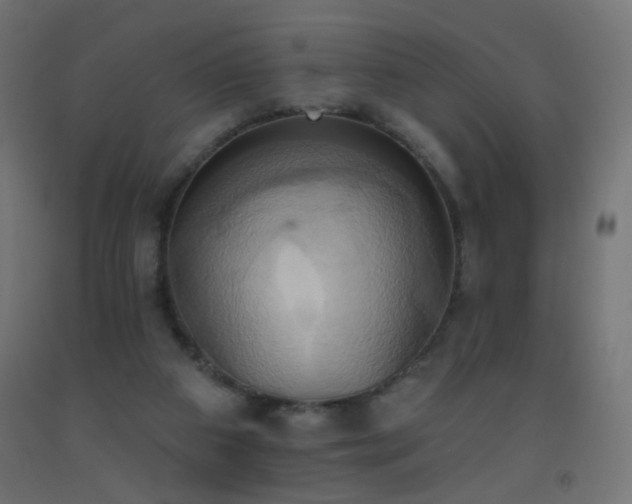 X0000093520113200710121552