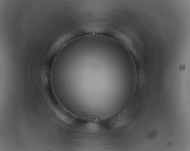 X0000093520114200710121552