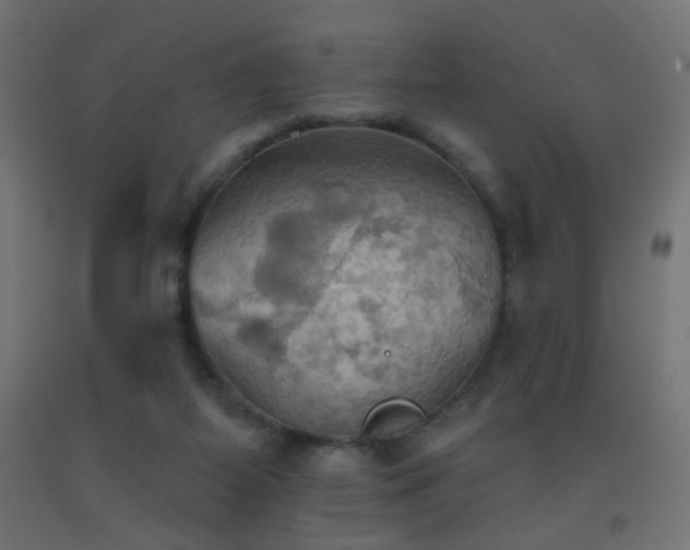 X0000093520115200710121552