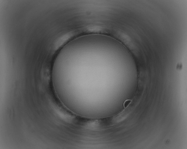 X0000093520116200710121552