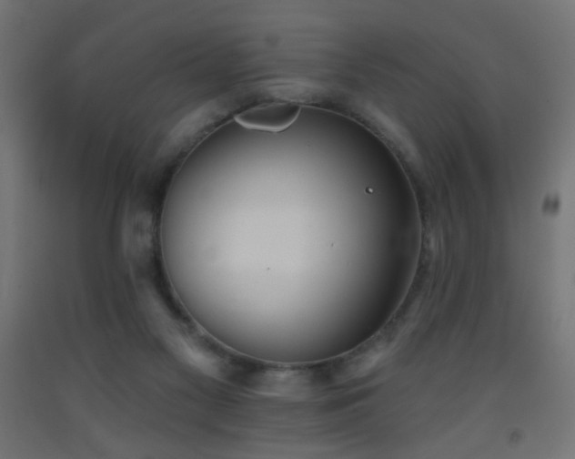 X0000093520117200710121552