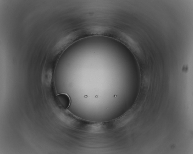 X0000093520118200710121552