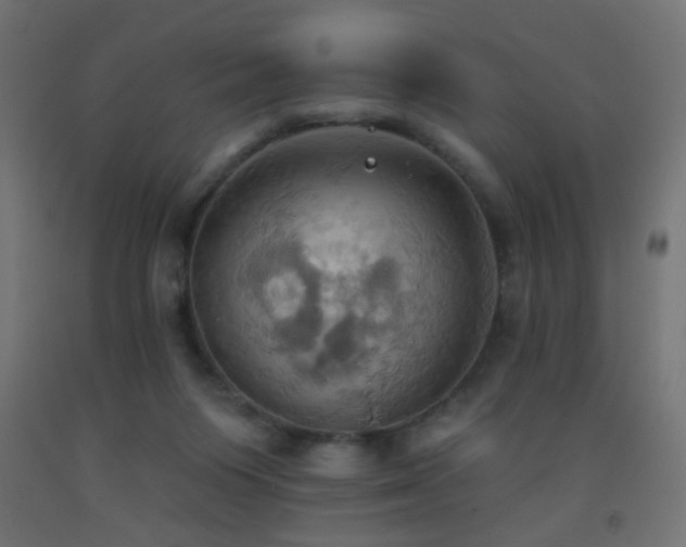X0000093520119200710121552