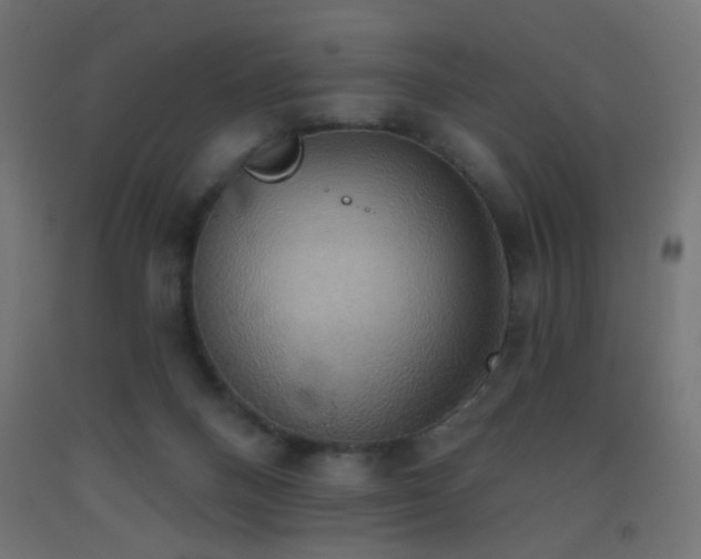 X0000093520120200710121552