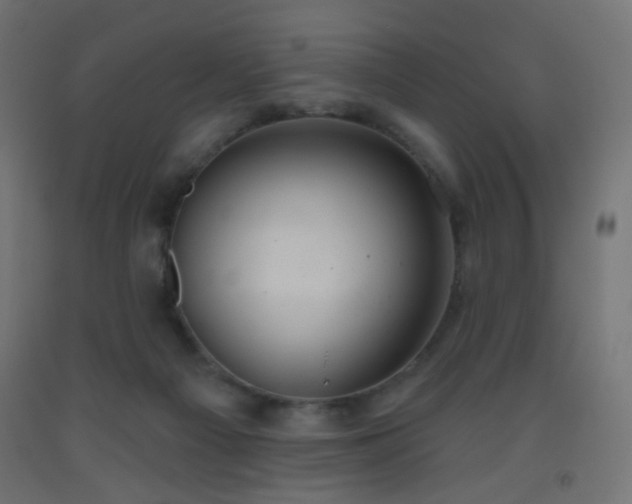 X0000093520121200710121552