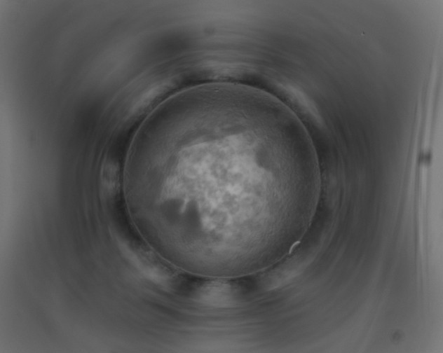 X0000093520123200710121552