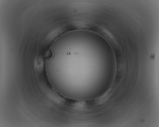 X0000093520124200710121552