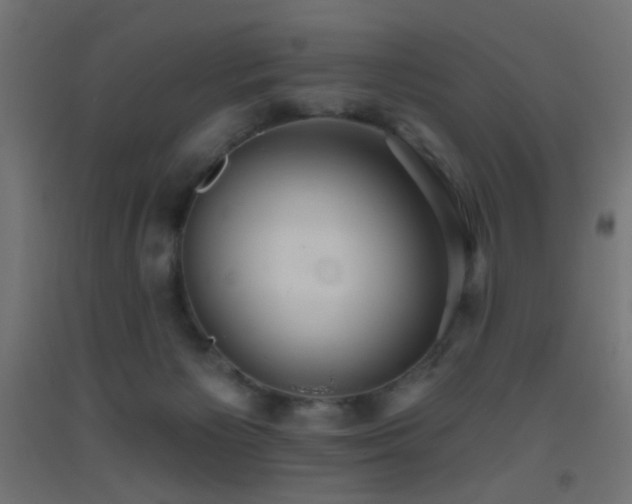 X0000093520125200710121552