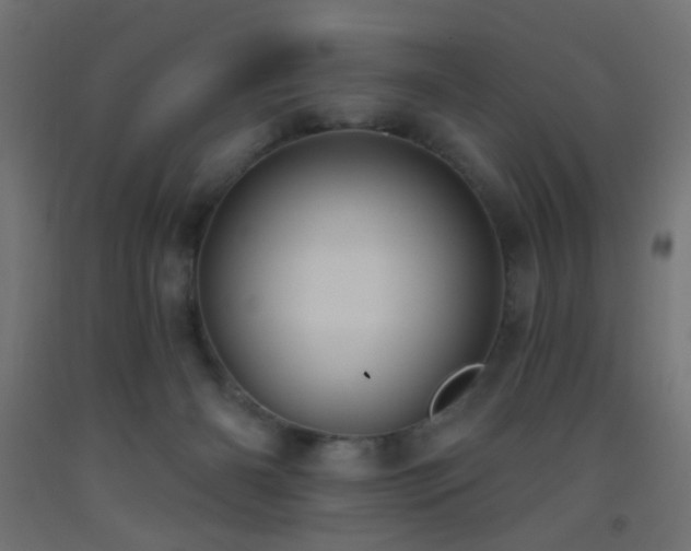 X0000093520126200710121552