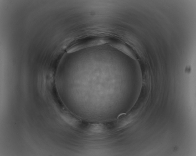 X0000093520127200710121552