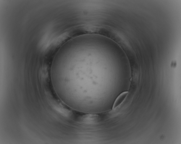 X0000093520128200710121552