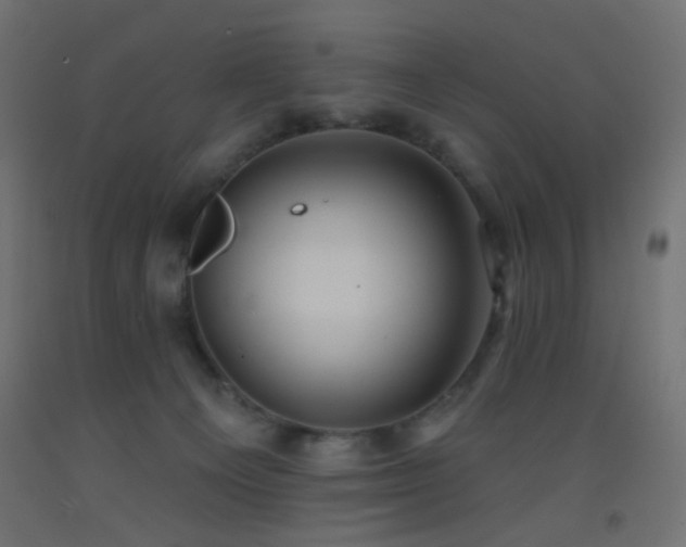 X0000093520129200710121552