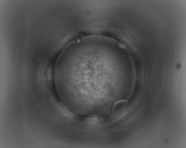X0000093520131200710121552
