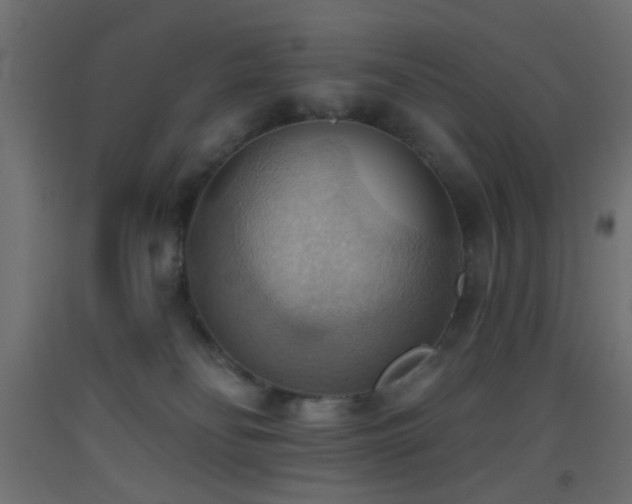 X0000093520134200710121552